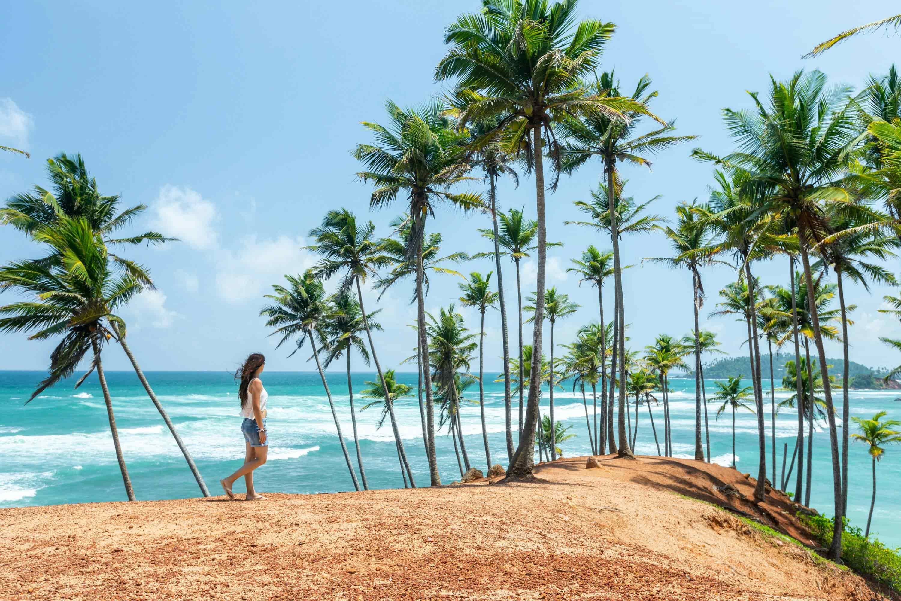 Tropical Coastal Palms of Sri Lanka